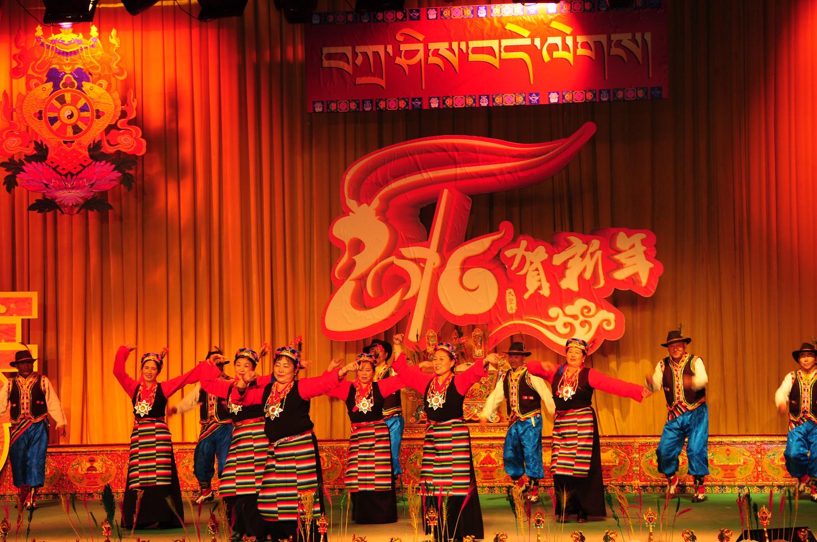 林芝市夕陽紅藝術團表演的舞蹈《夏爾巴》.JPG