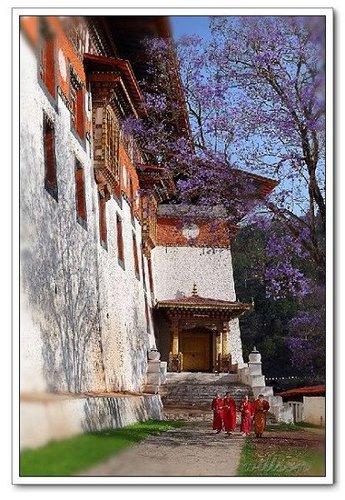 點(diǎn)擊瀏覽下一張