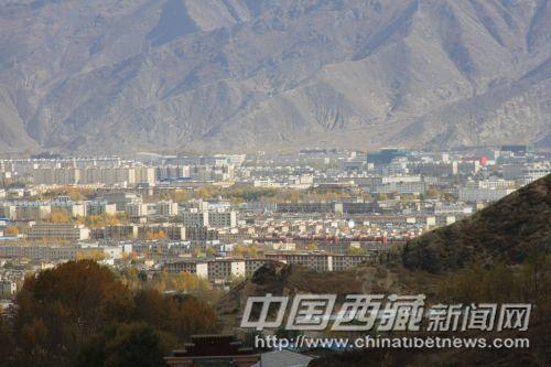 從娘熱溝高處的空地上眺望，遠(yuǎn)處成片金黃的樹林分布在城區(qū)的每個(gè)角落。