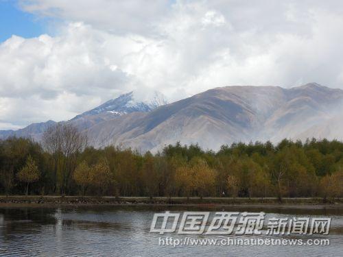 小樹(shù)林和群山襯托了池塘的美麗。