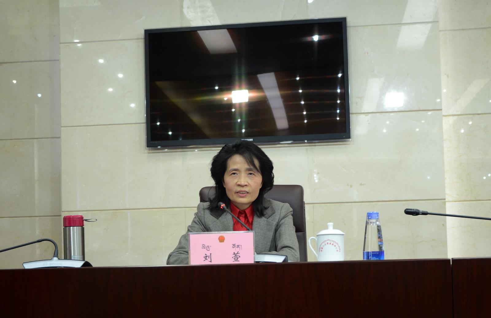 自治區(qū)政府副秘書長、政府新聞發(fā)言人劉萱.jpg