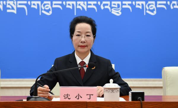 沈小丁 區(qū)檢院檢察委員會(huì)專職委員、二級(jí)高級(jí)檢察官、新聞發(fā)言人..JPG