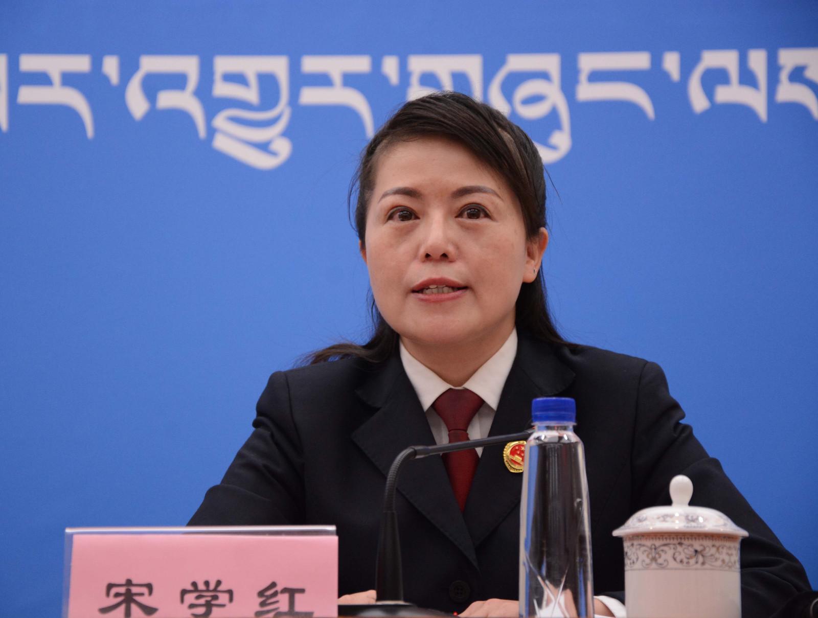 新聞發(fā)言人：自治區(qū)檢察院第九檢查部副主任、四級高級檢察官 宋學紅.JPG