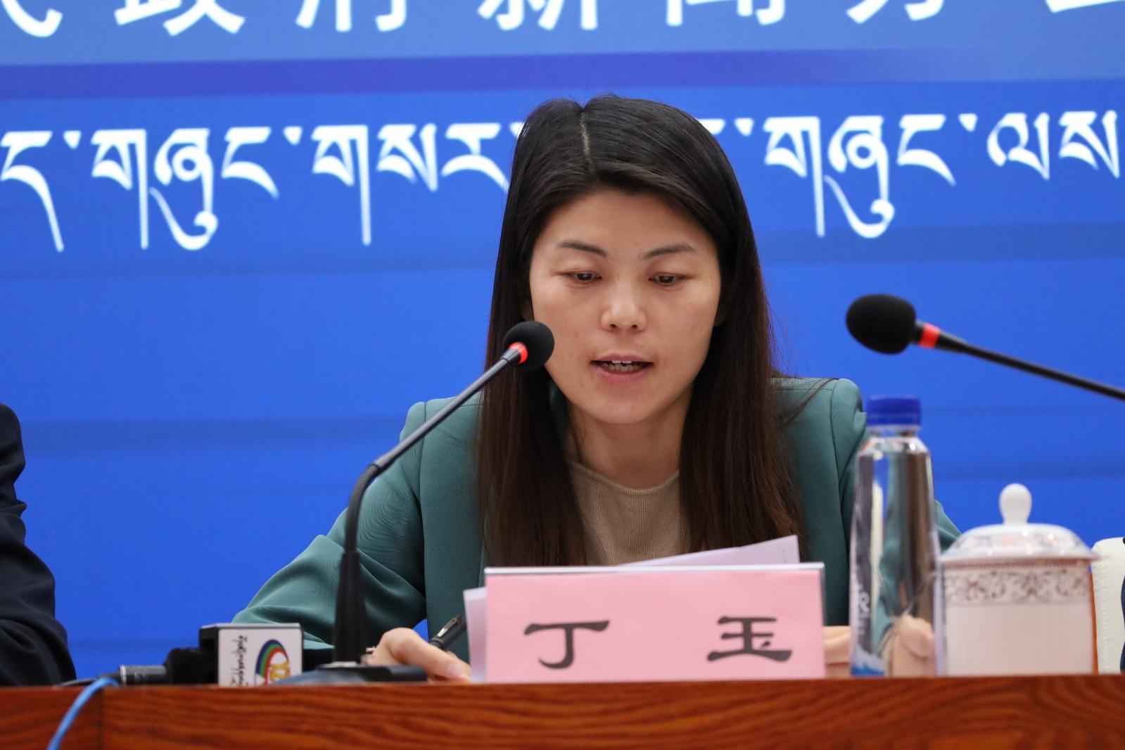 新聞發(fā)言人：區(qū)發(fā)改委黨組成員、主任助理 丁玉.JPG