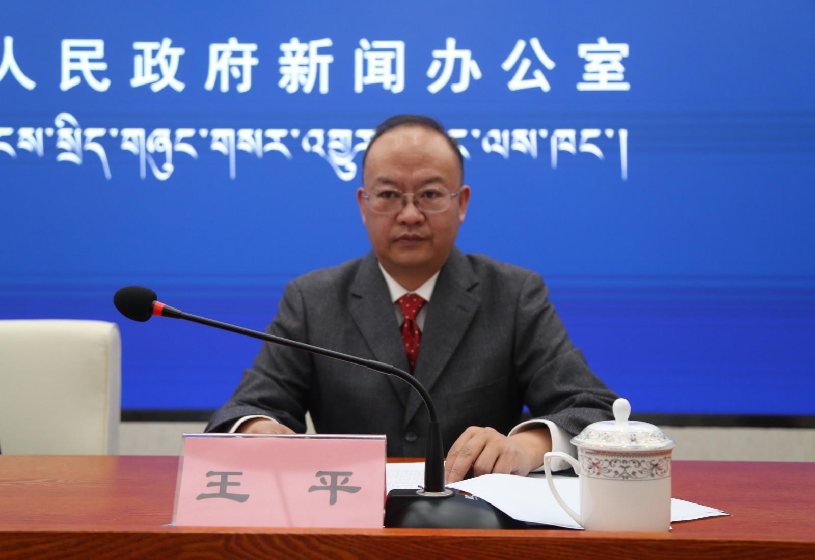 王平   西藏自治區(qū)統(tǒng)計(jì)局綜合處處長(zhǎng).jpg