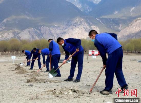 林芝市巴宜區(qū)森林消防中隊志愿服務(wù)隊正在揮鍬鏟土。　西繞拉翁 攝