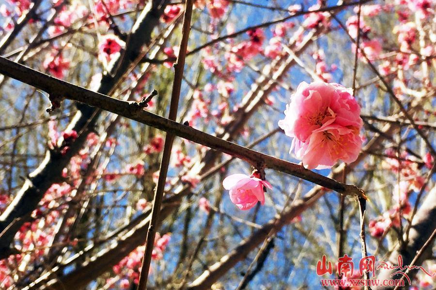 點(diǎn)擊進(jìn)入下一頁(yè)