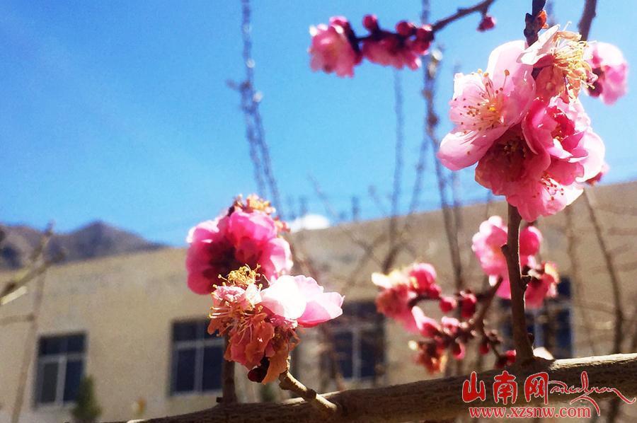 點(diǎn)擊進(jìn)入下一頁(yè)