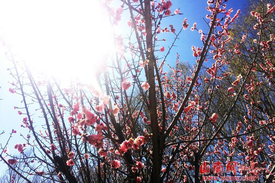 點(diǎn)擊進(jìn)入下一頁(yè)