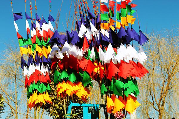 圖為：縫制好的五彩經(jīng)幡樹。曲杰  攝.jpg