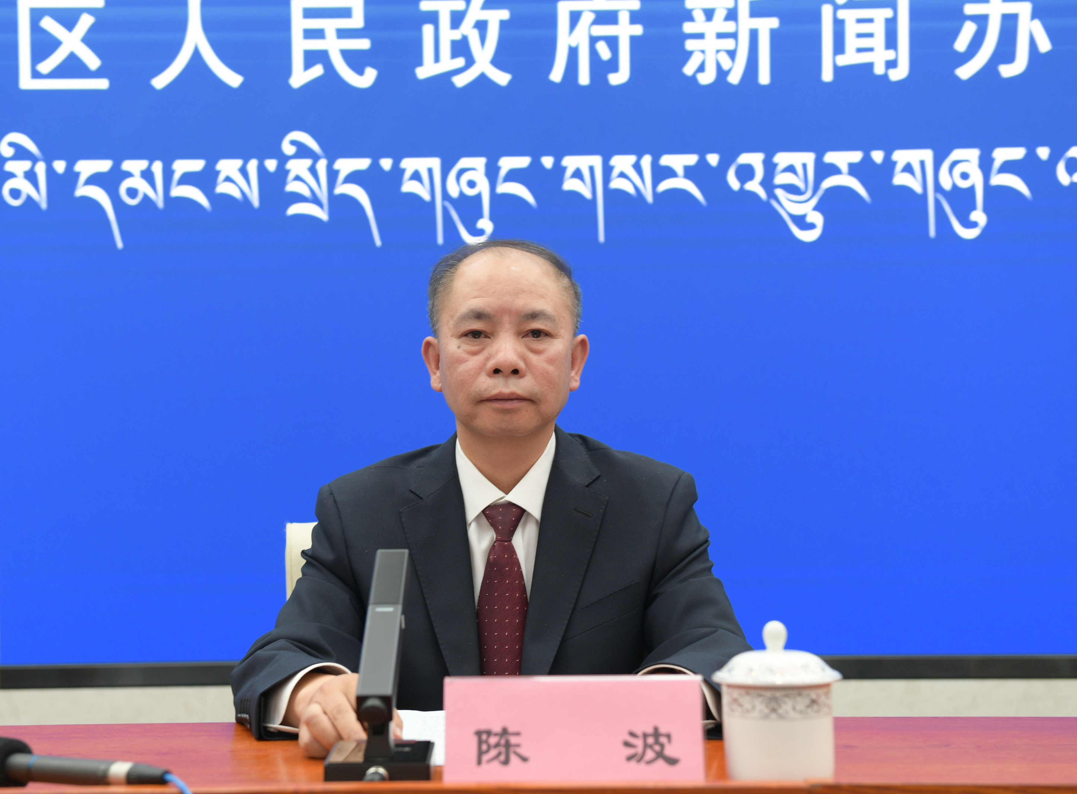 發(fā)言人：國網(wǎng)西藏電力有限公司董事、黨委副書記 陳波.jpg
